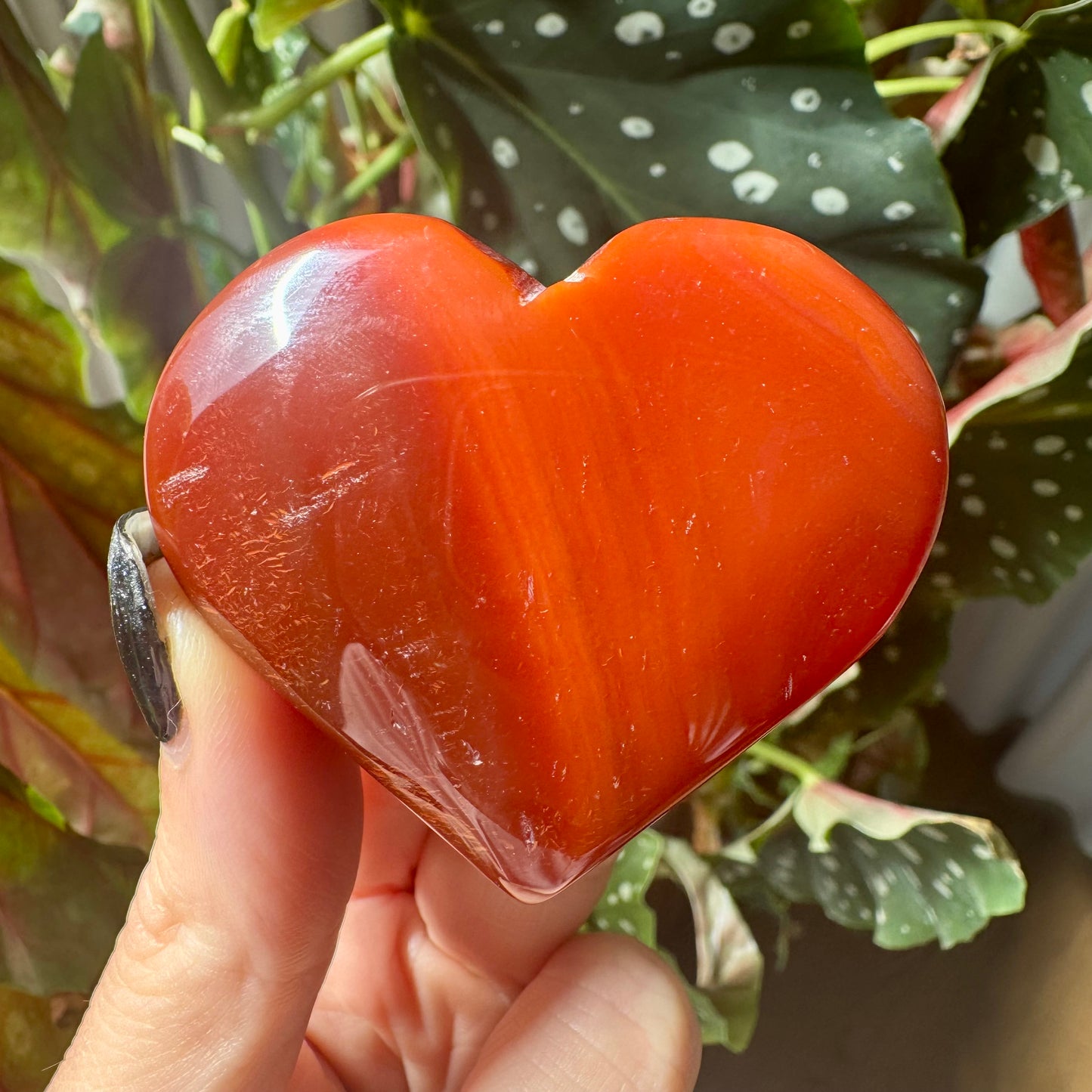 Druzy Carnelian Heart No 41