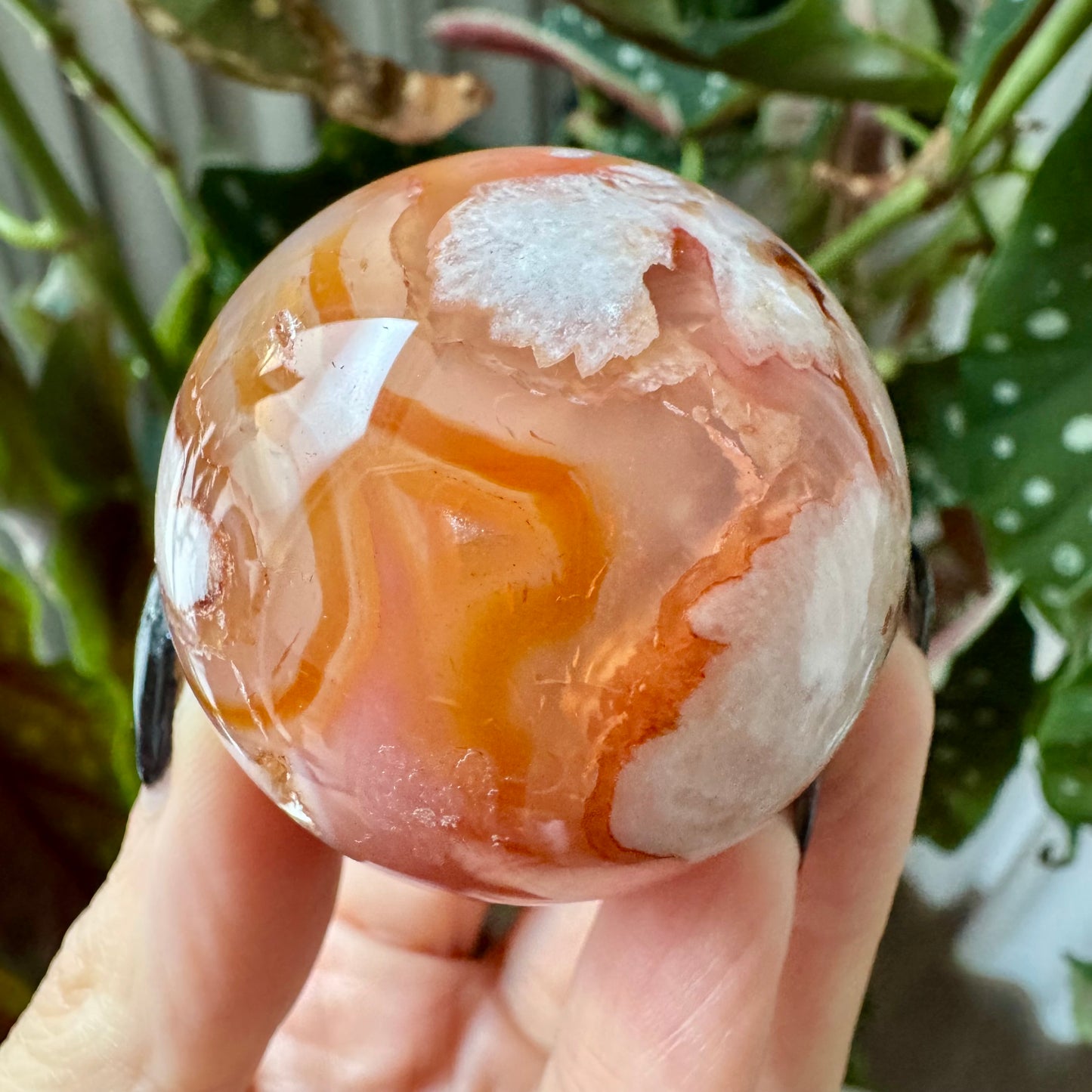 Carnelian with Flower Agate Sphere No 78