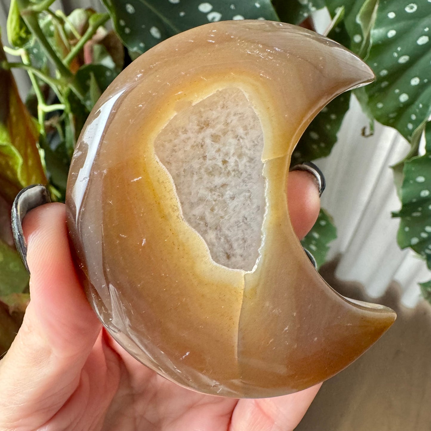 Druzy Agate Moon No 203