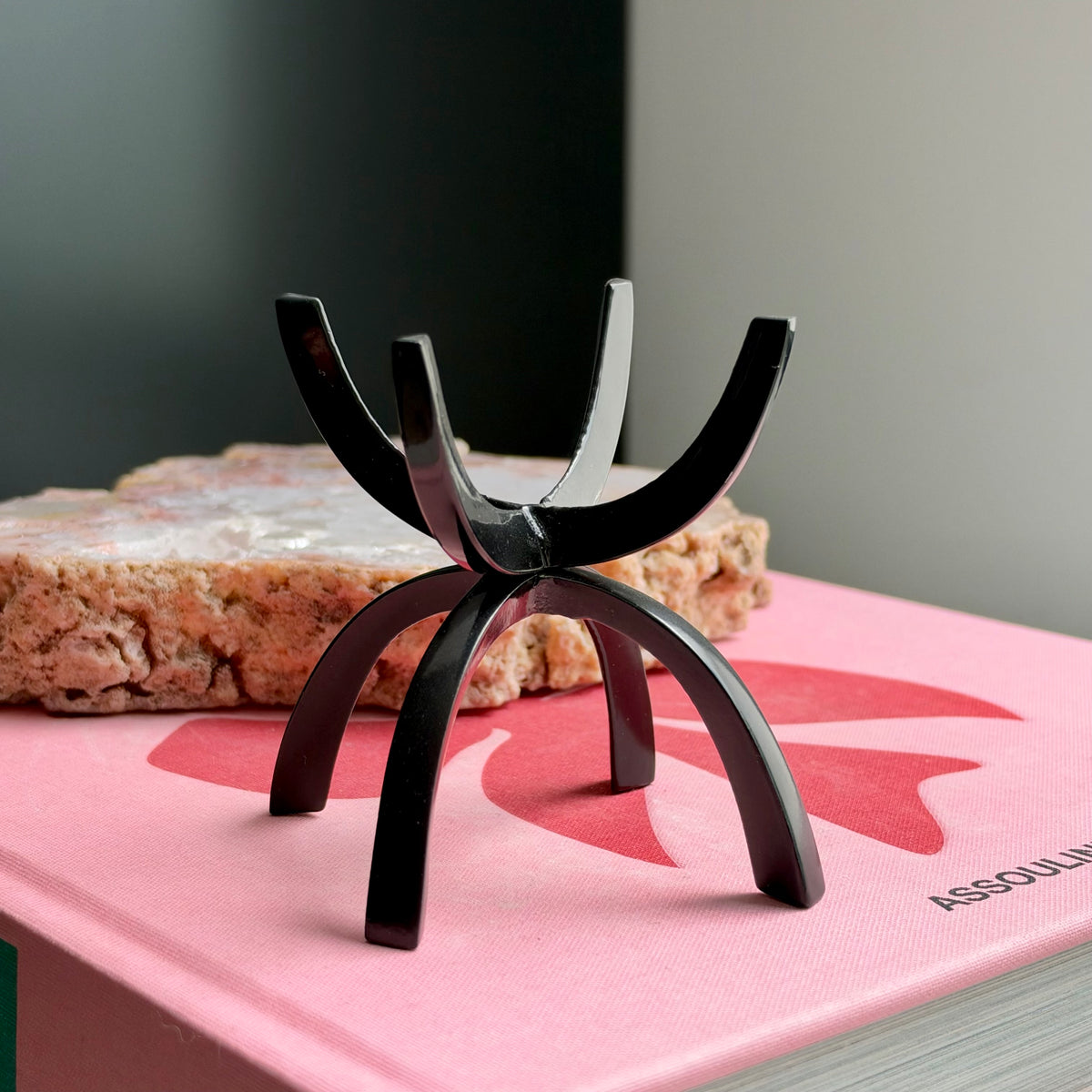 Large Black Claw Stand