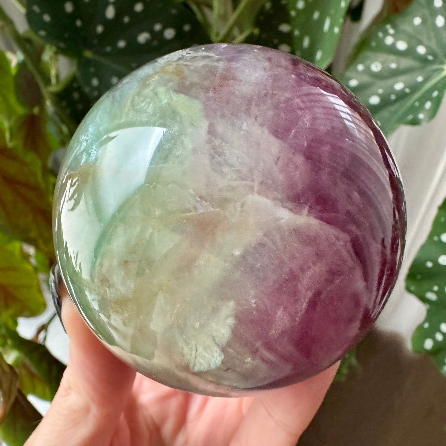 Watermelon Fluorite Sphere No 164