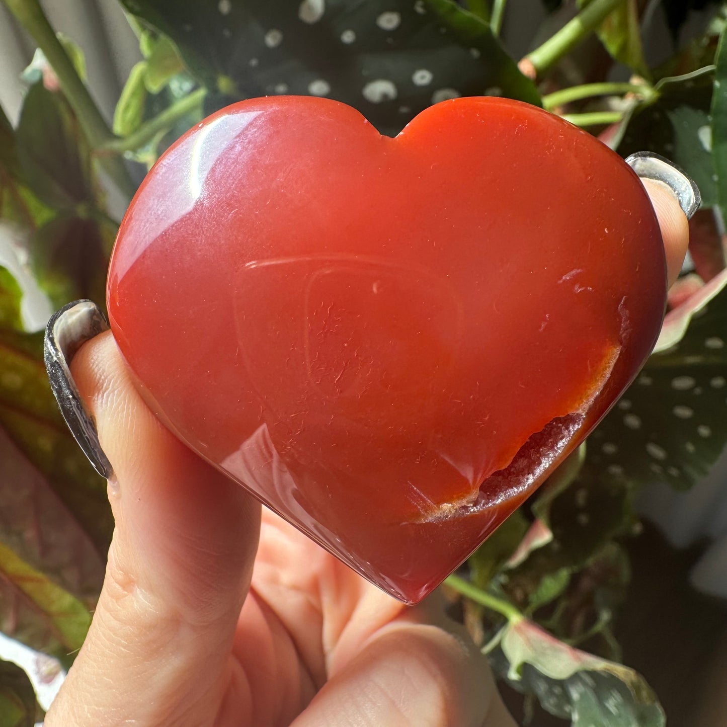 Druzy Carnelian Heart No 46