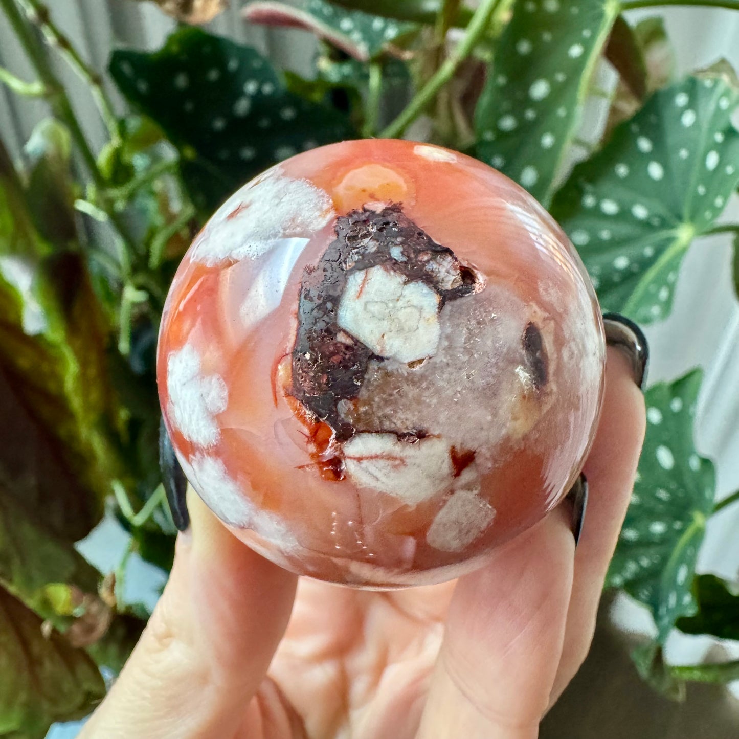 Carnelian with Flower Agate Sphere No 82