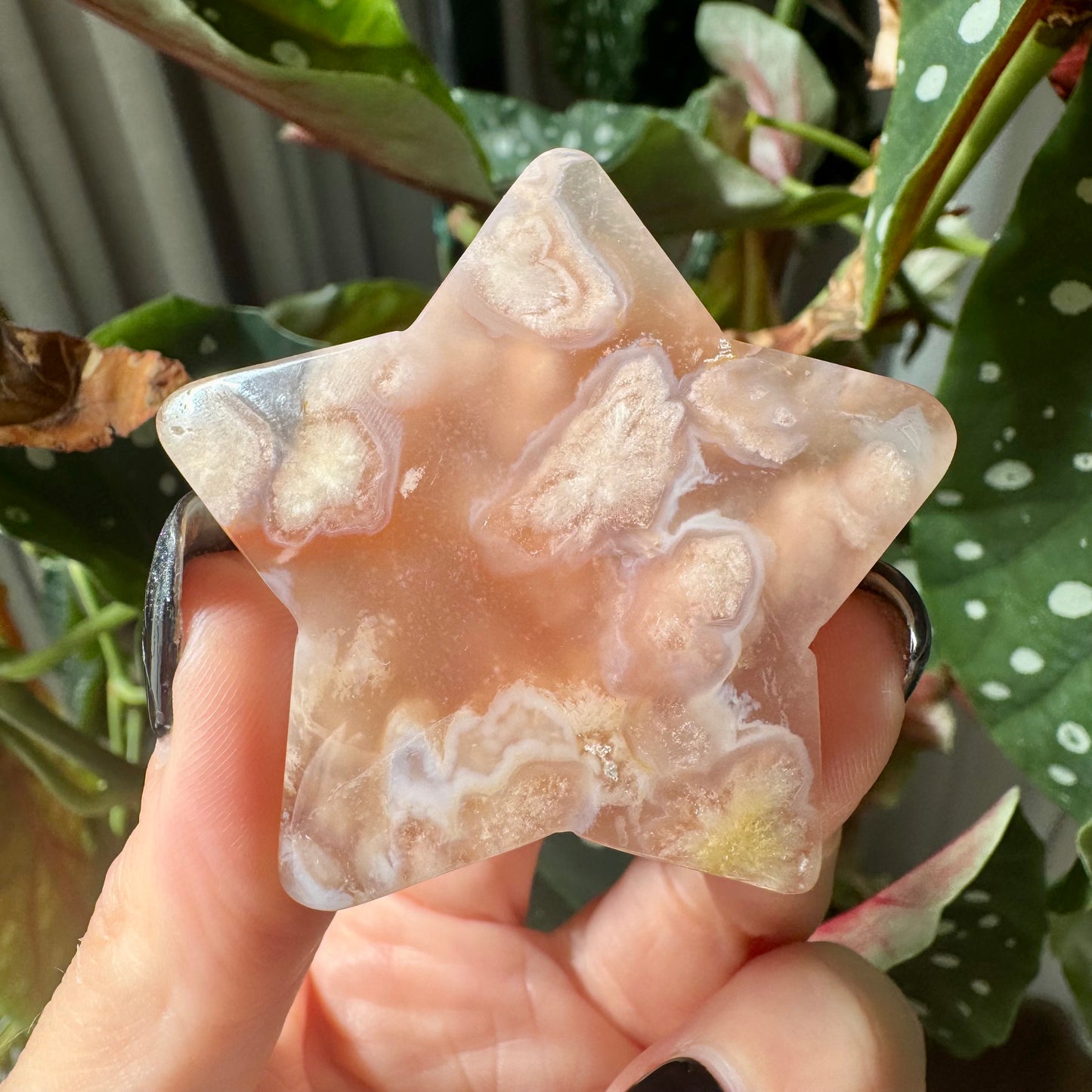 Flower Agate Star No 26