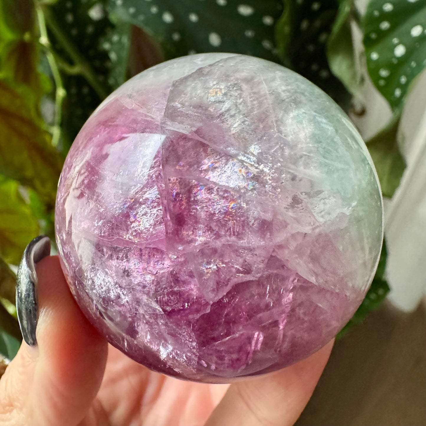 Watermelon Fluorite Sphere No 162