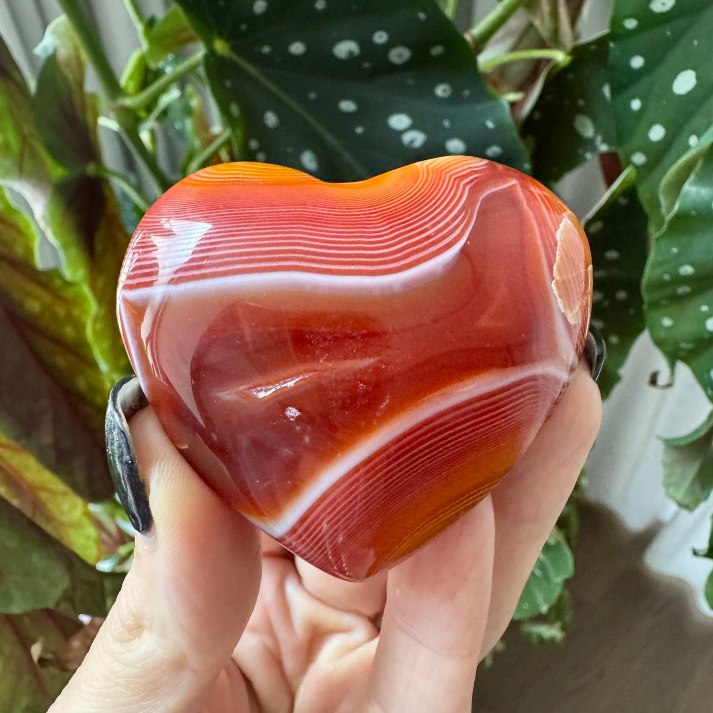 Carnelian Heart No 16