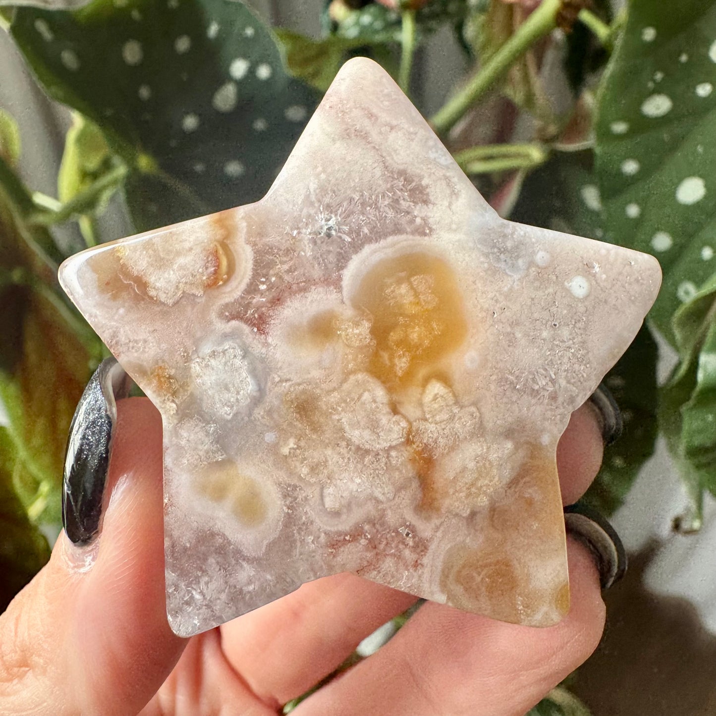 Flower Agate Star No 27