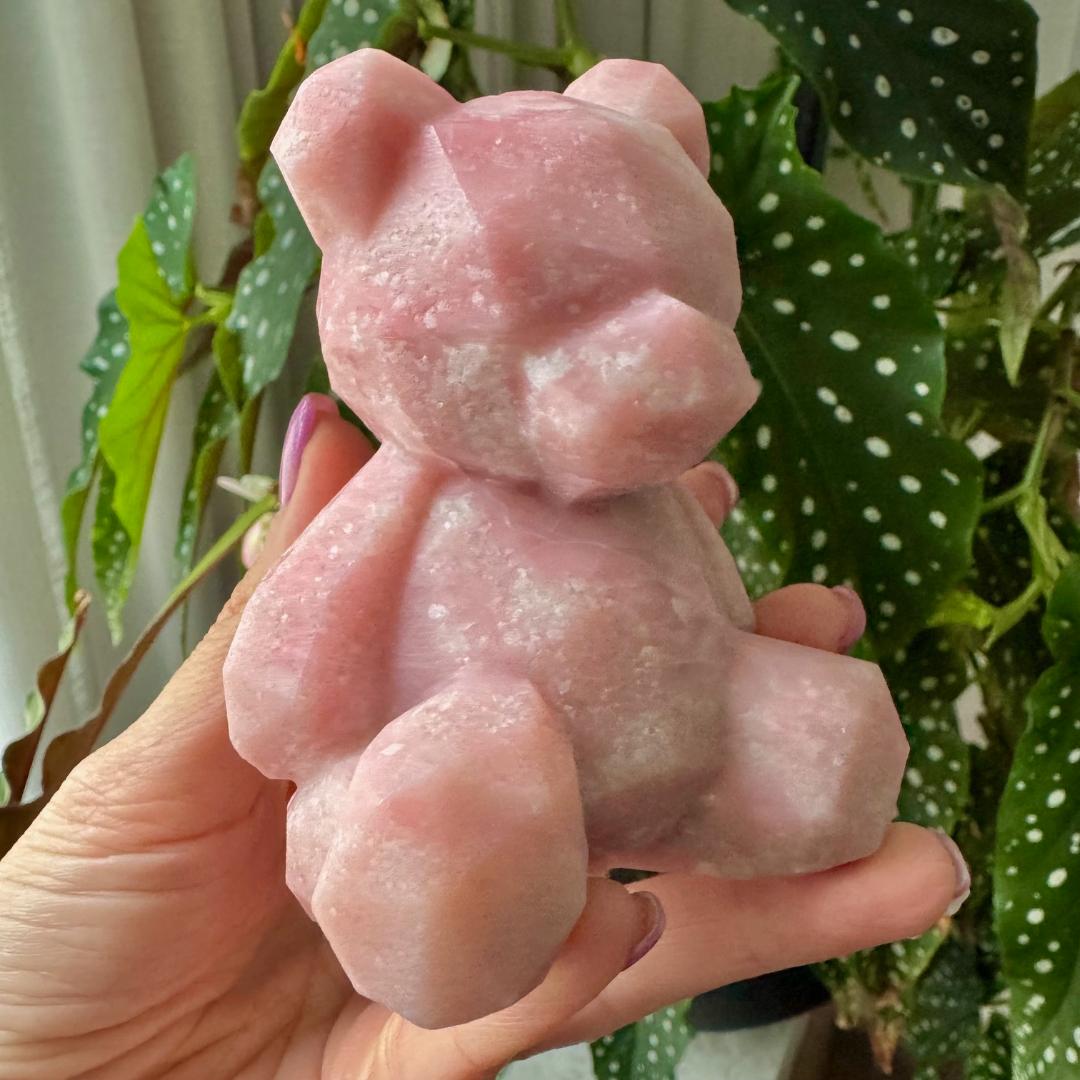 Pink Opal Bear No 1
