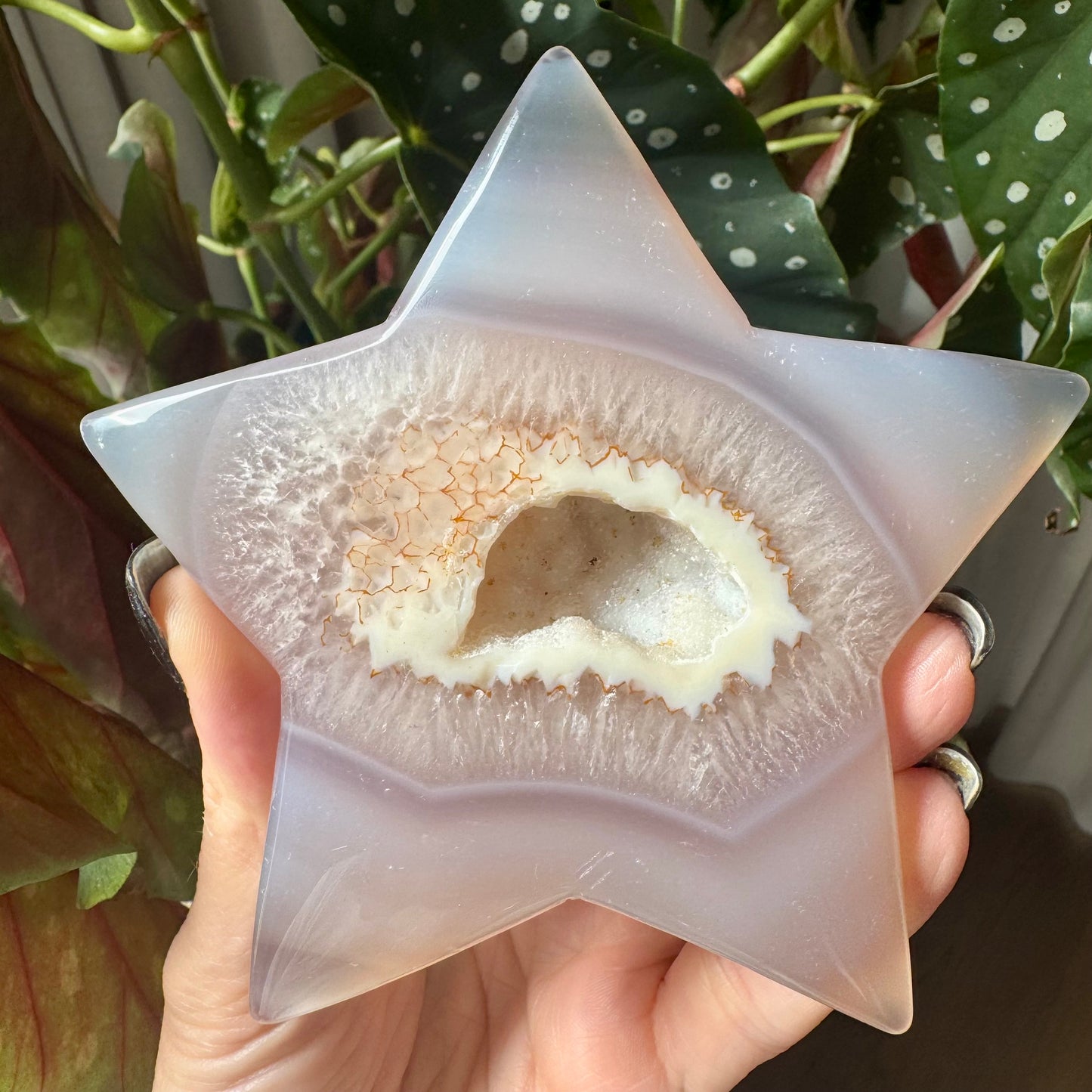 Druzy Agate Star No 152