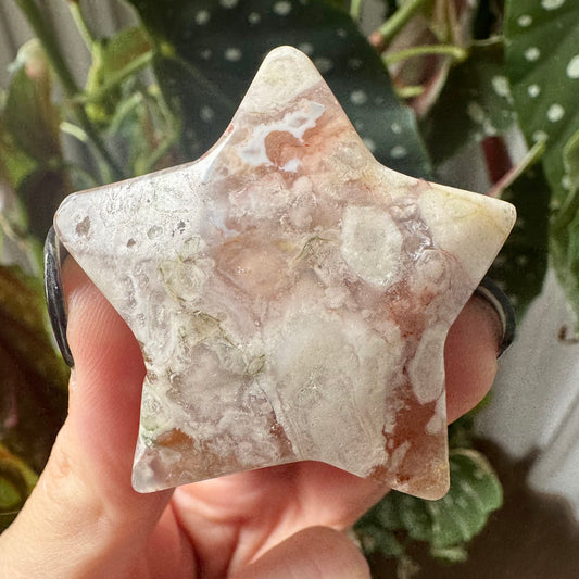 Flower Agate Star No 24