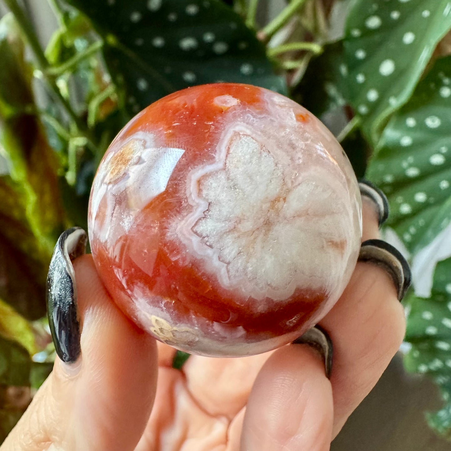 Carnelian with Flower Agate Sphere No 75