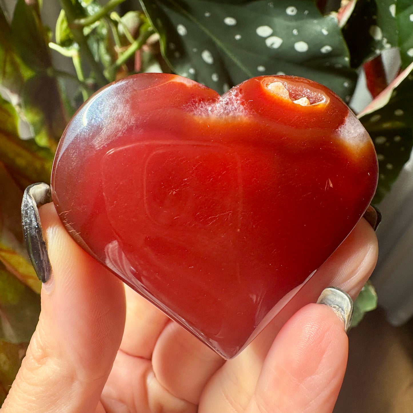 Druzy Carnelian Heart No 40