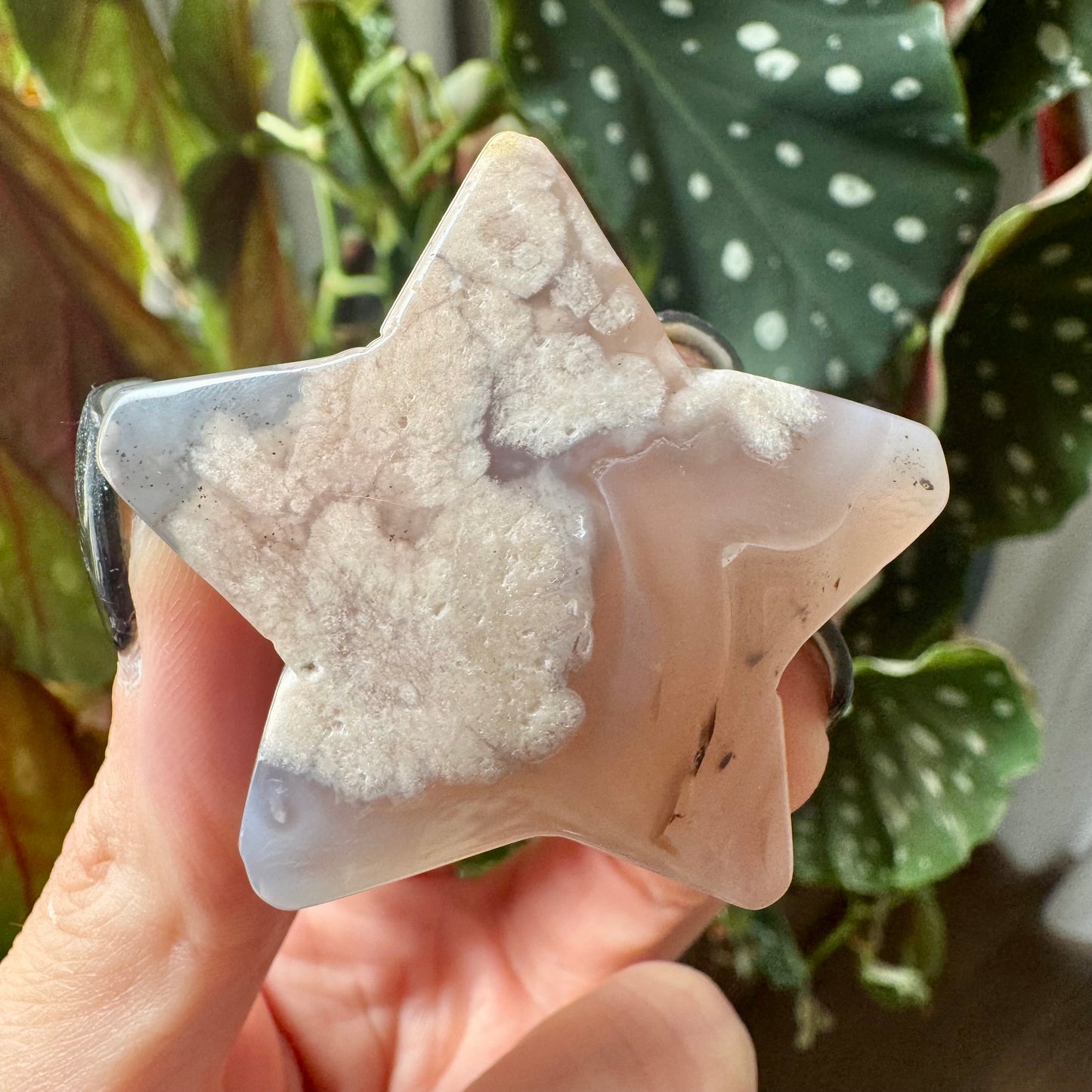 Flower Agate Star No 23
