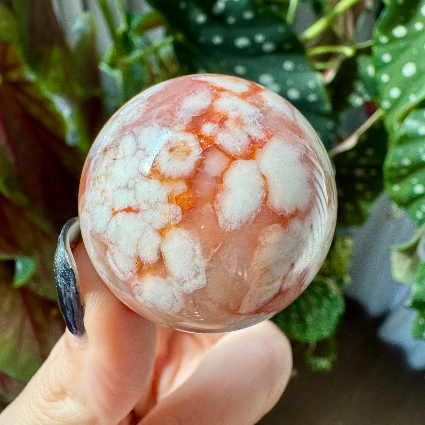 Carnelian with Flower Agate Sphere No 74