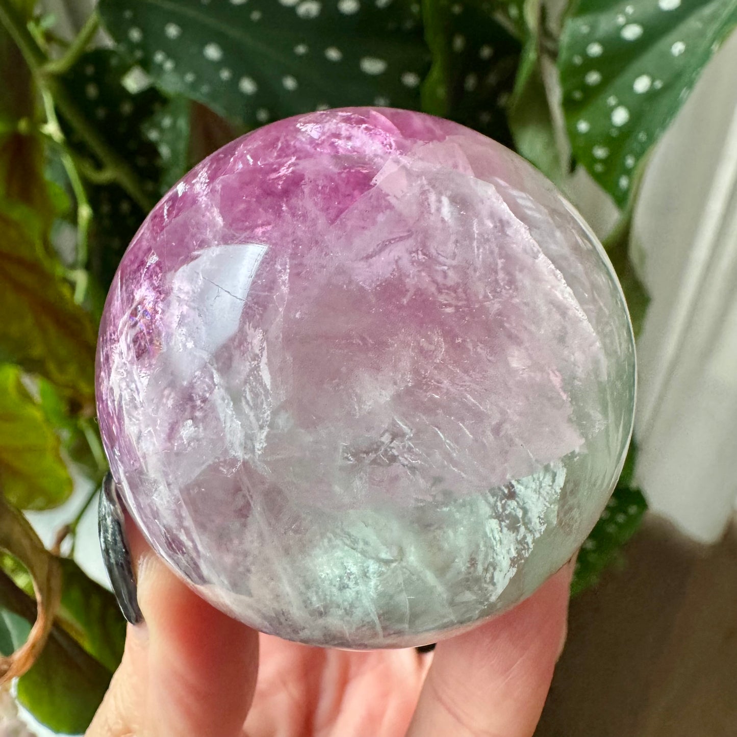 Watermelon Fluorite Sphere No 162