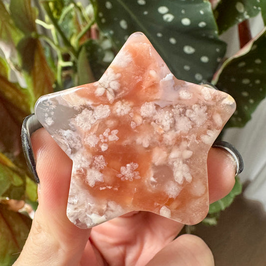 Flower Agate Star No 22