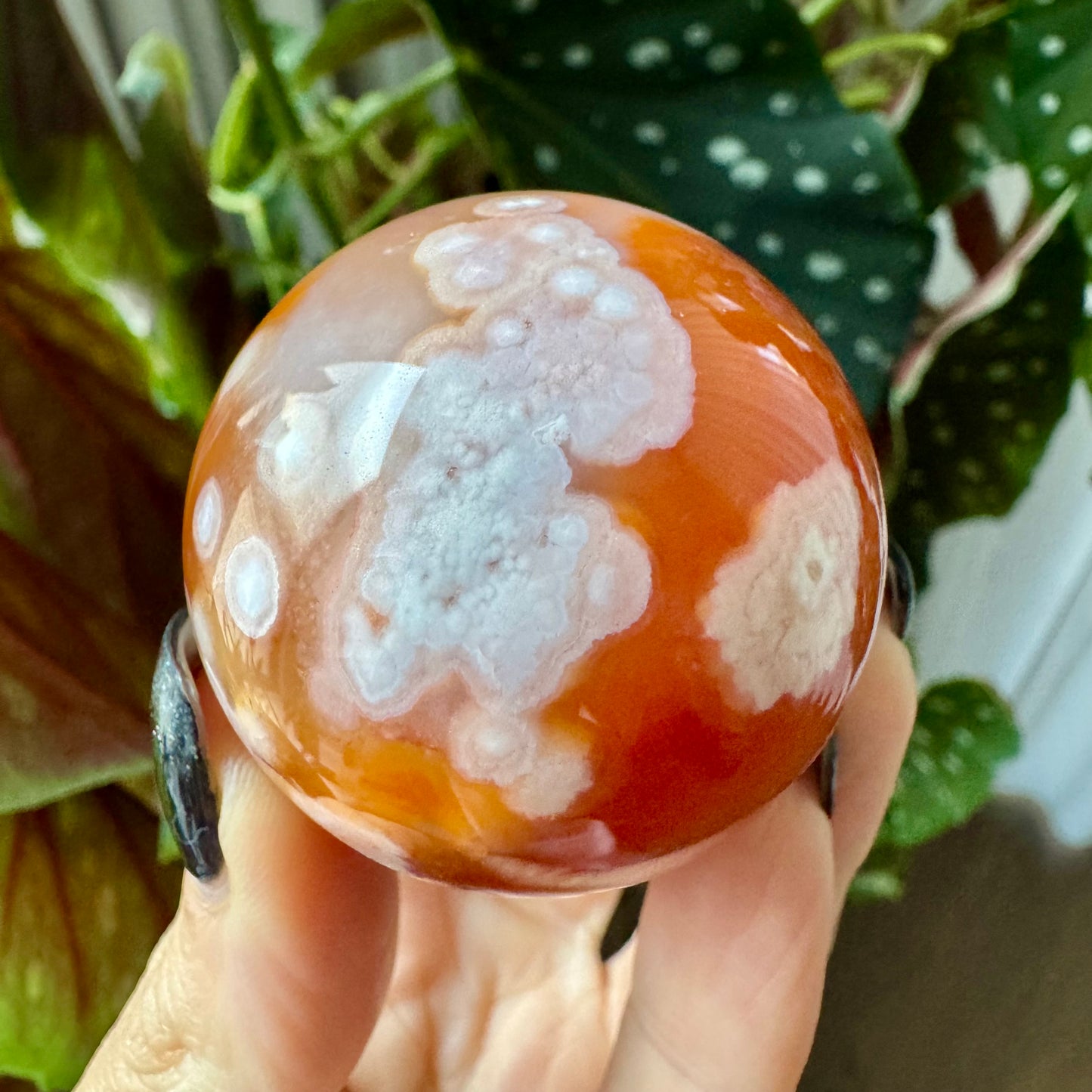 Carnelian with Flower Agate Sphere No 77