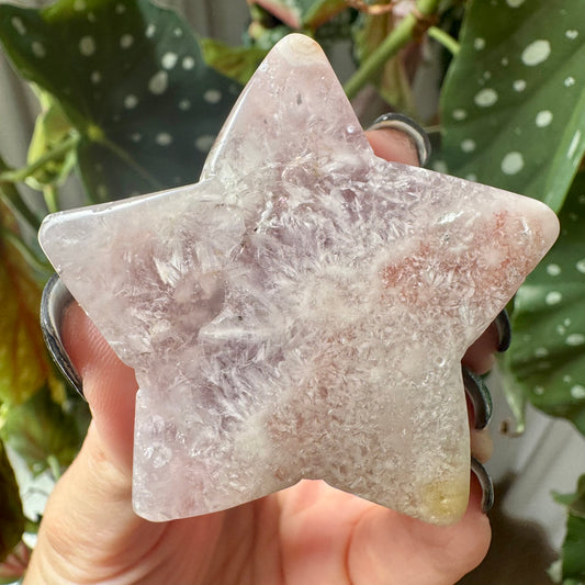 Flower Agate Star No 27