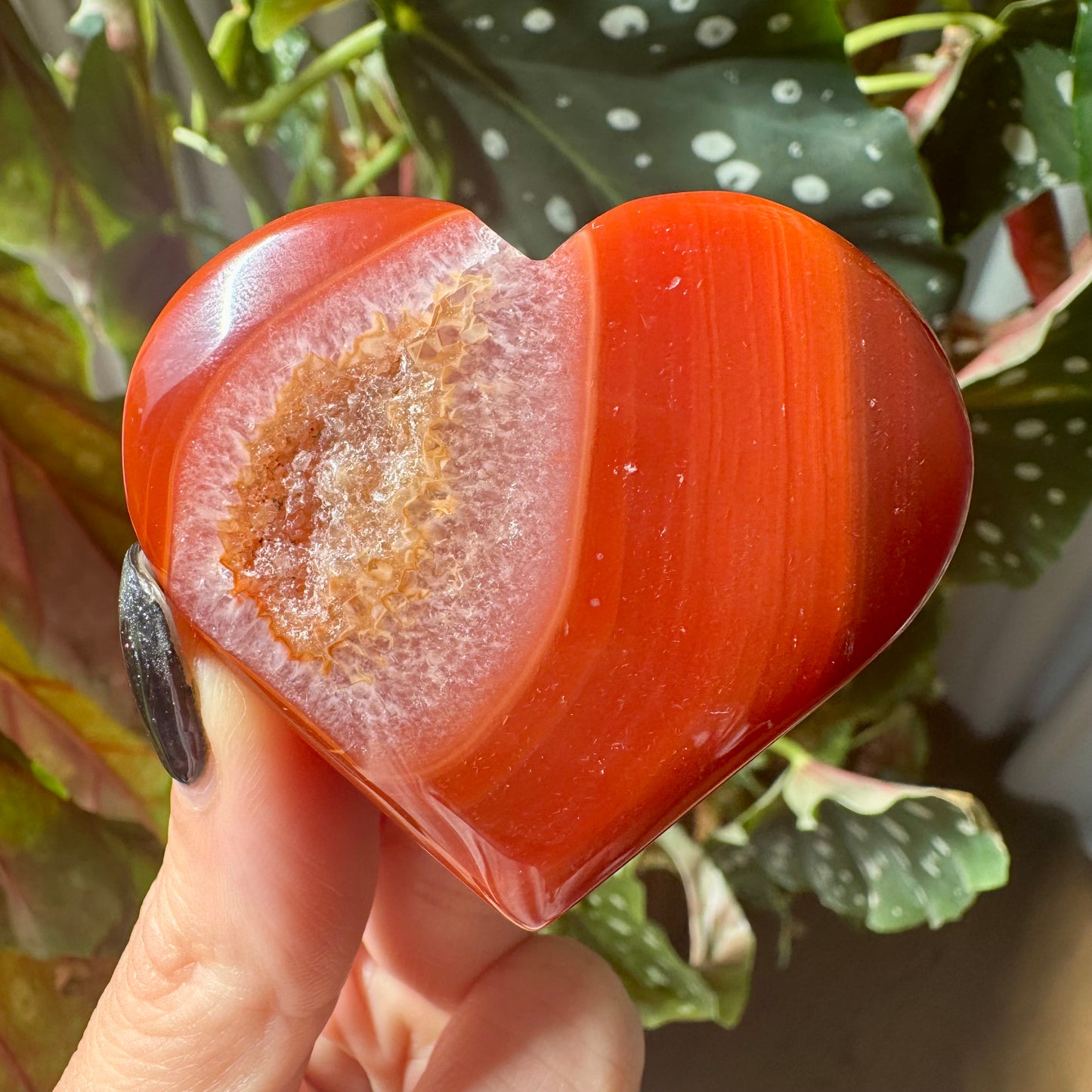 Druzy Carnelian Heart No 41
