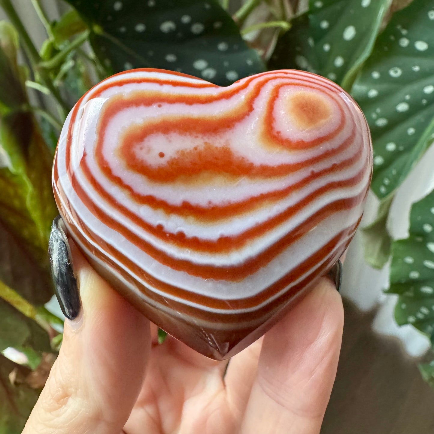 Carnelian Heart No 17