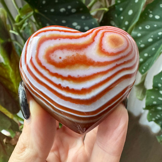 Carnelian Heart No 17