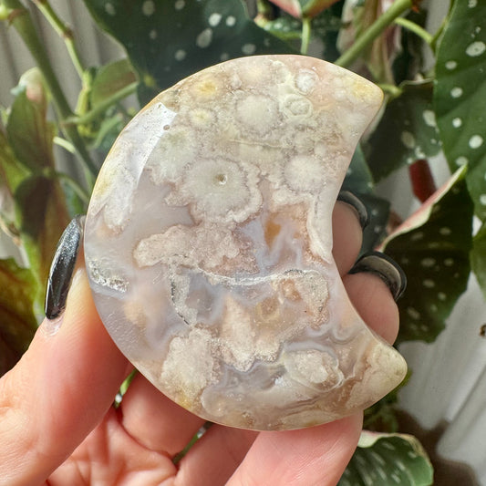 Flower Agate Moon No 31