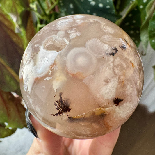 Flower Agate Sphere No 259