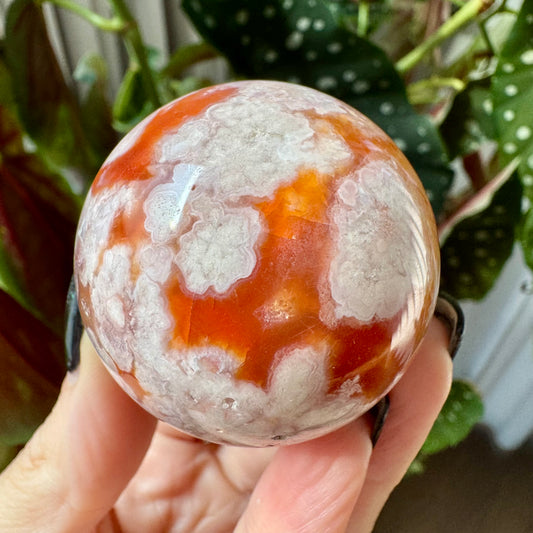 Carnelian with Flower Agate Sphere No 79
