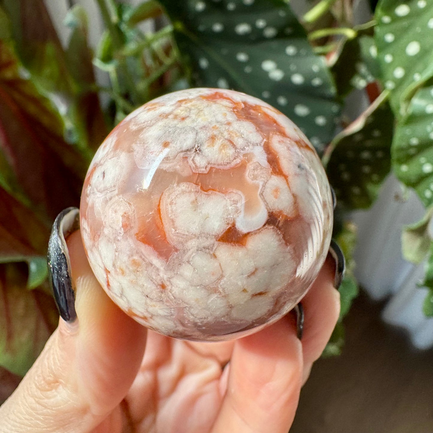 Carnelian with Flower Agate Sphere No 74