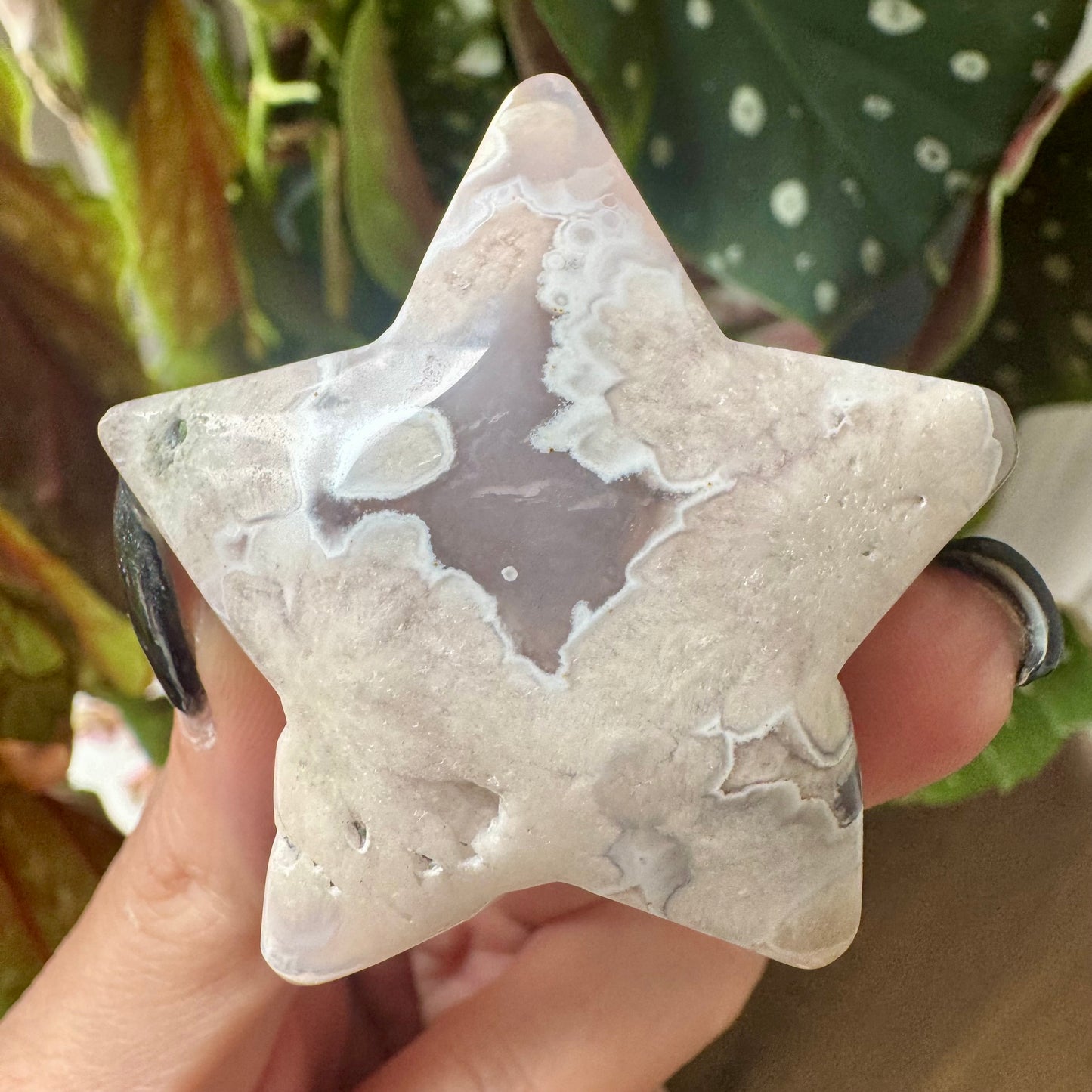 Flower Agate Star No 25