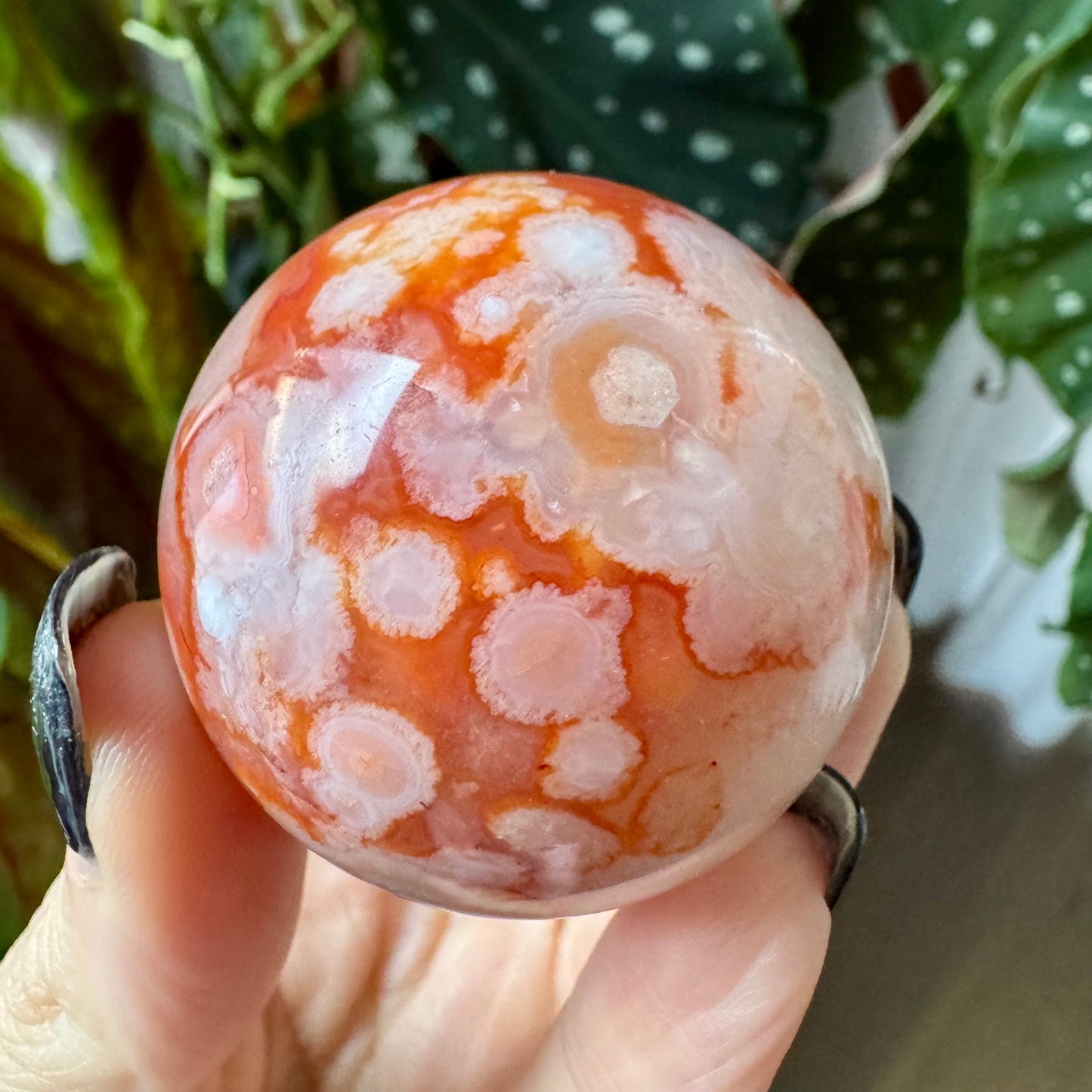 Carnelian with Flower Agate Sphere No 81