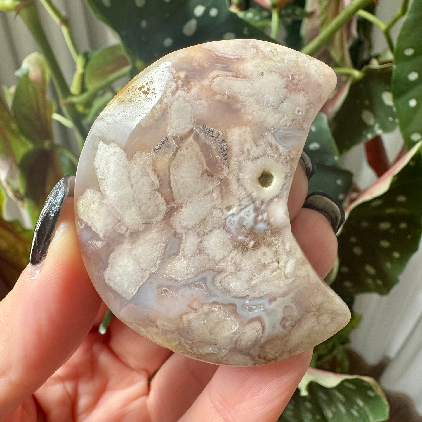 Flower Agate Moon No 31