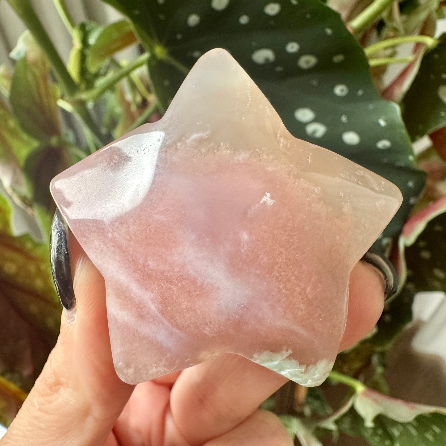 Flower Agate Star No 28