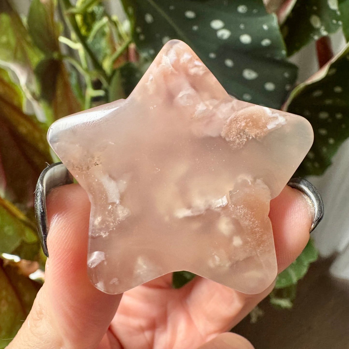Flower Agate Star No 22