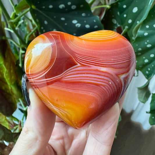 Carnelian Heart No 16