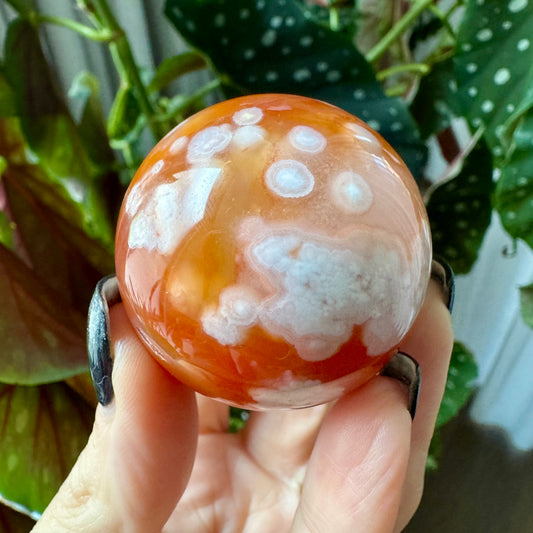 Carnelian with Flower Agate Sphere No 77