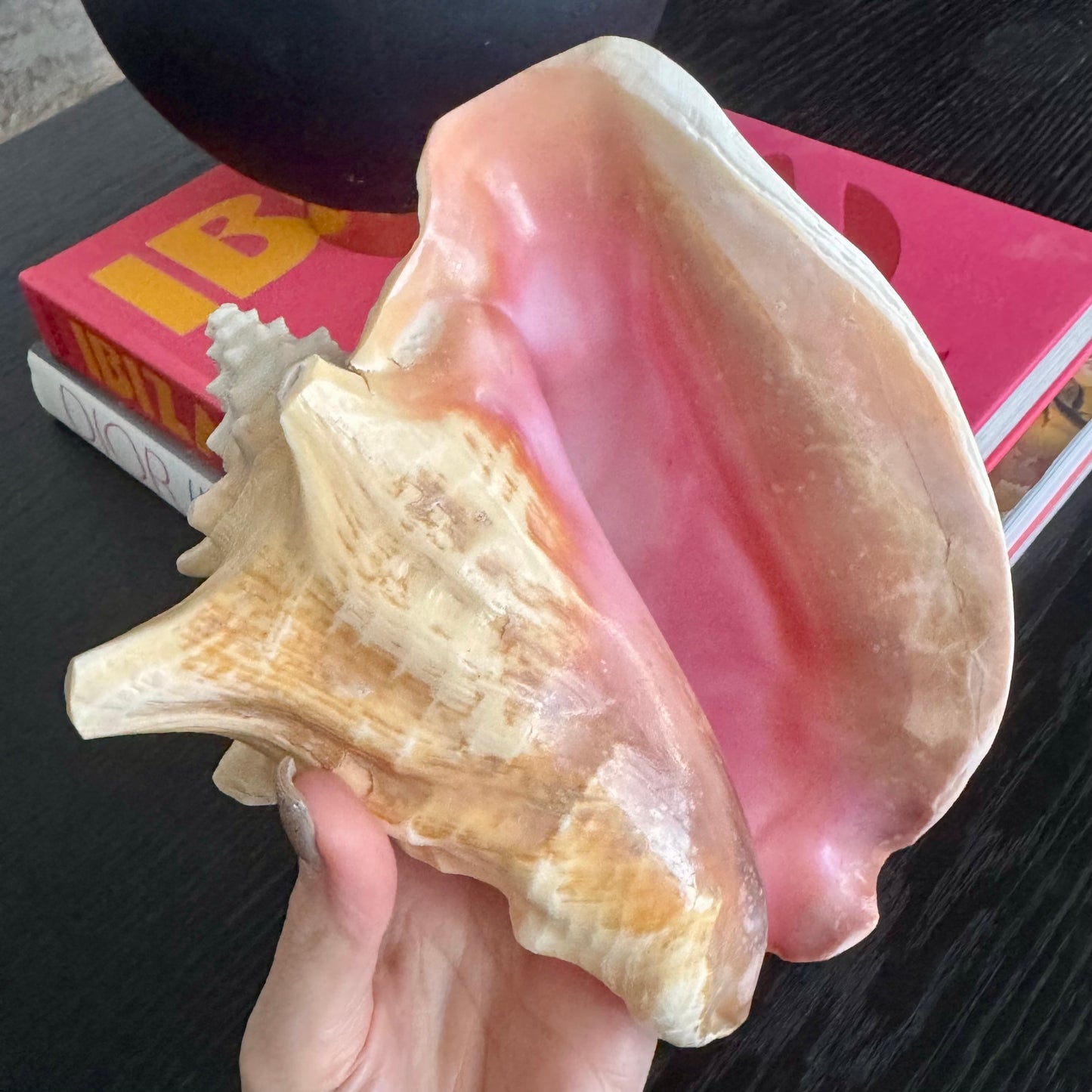 Natural Pink Decorative Shell