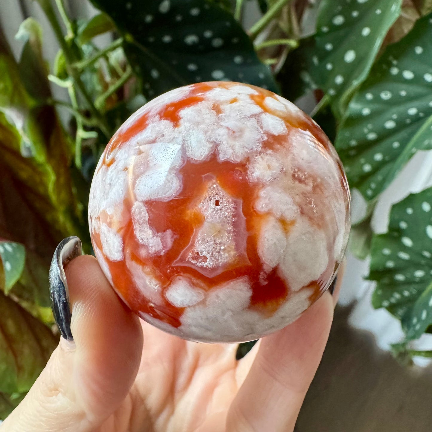 Carnelian with Flower Agate Sphere No 83