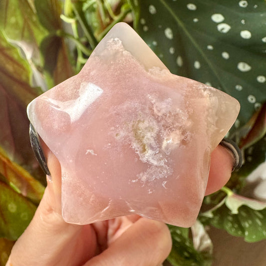Flower Agate Star No 28