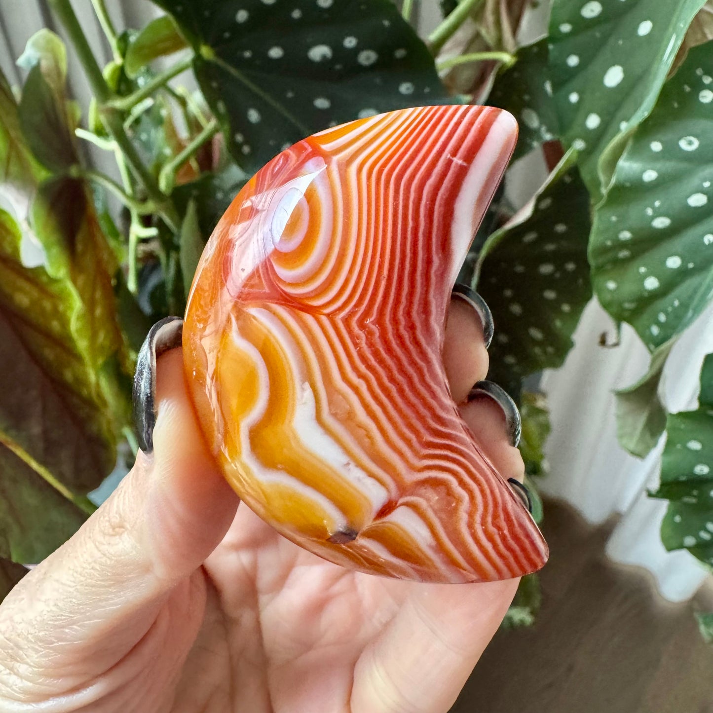 Carnelian Moon No 20