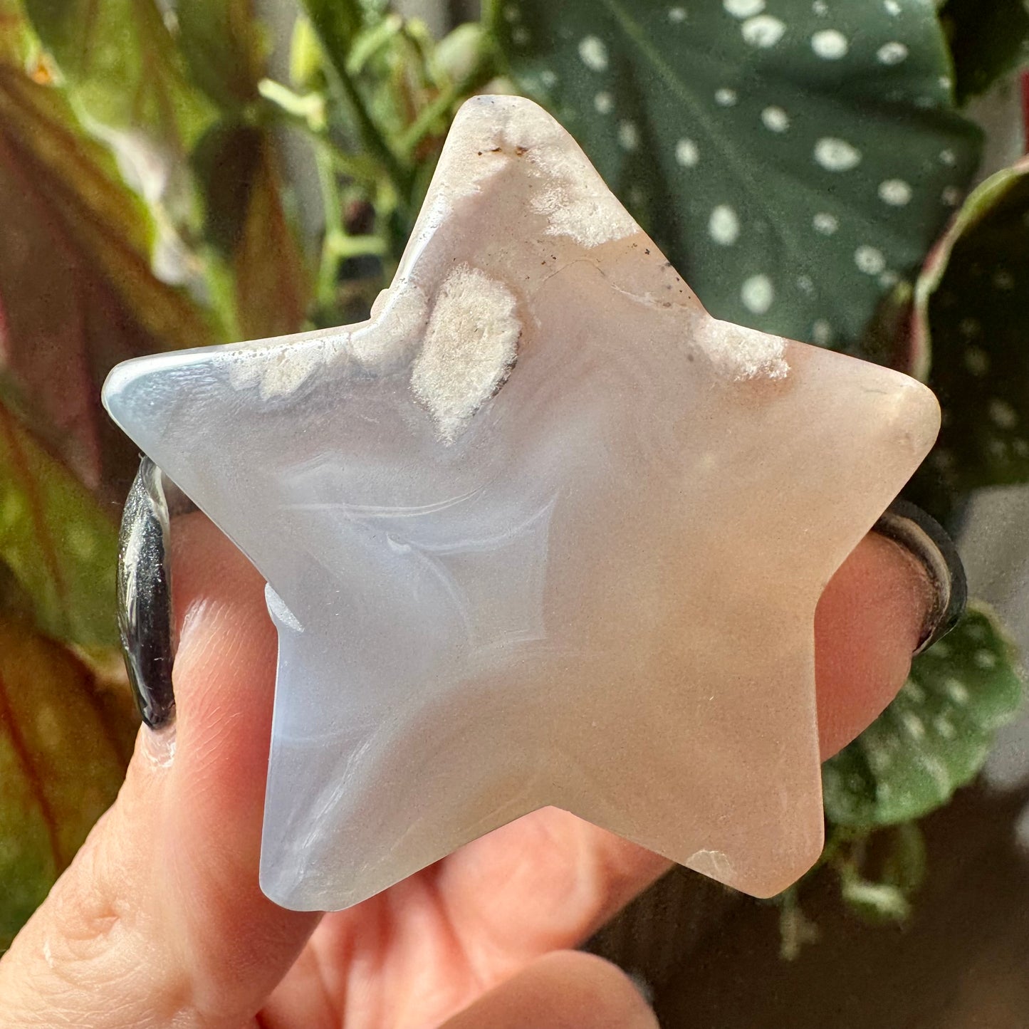 Flower Agate Star No 23