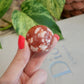 Carnelian with Flower Agate Sphere No 73