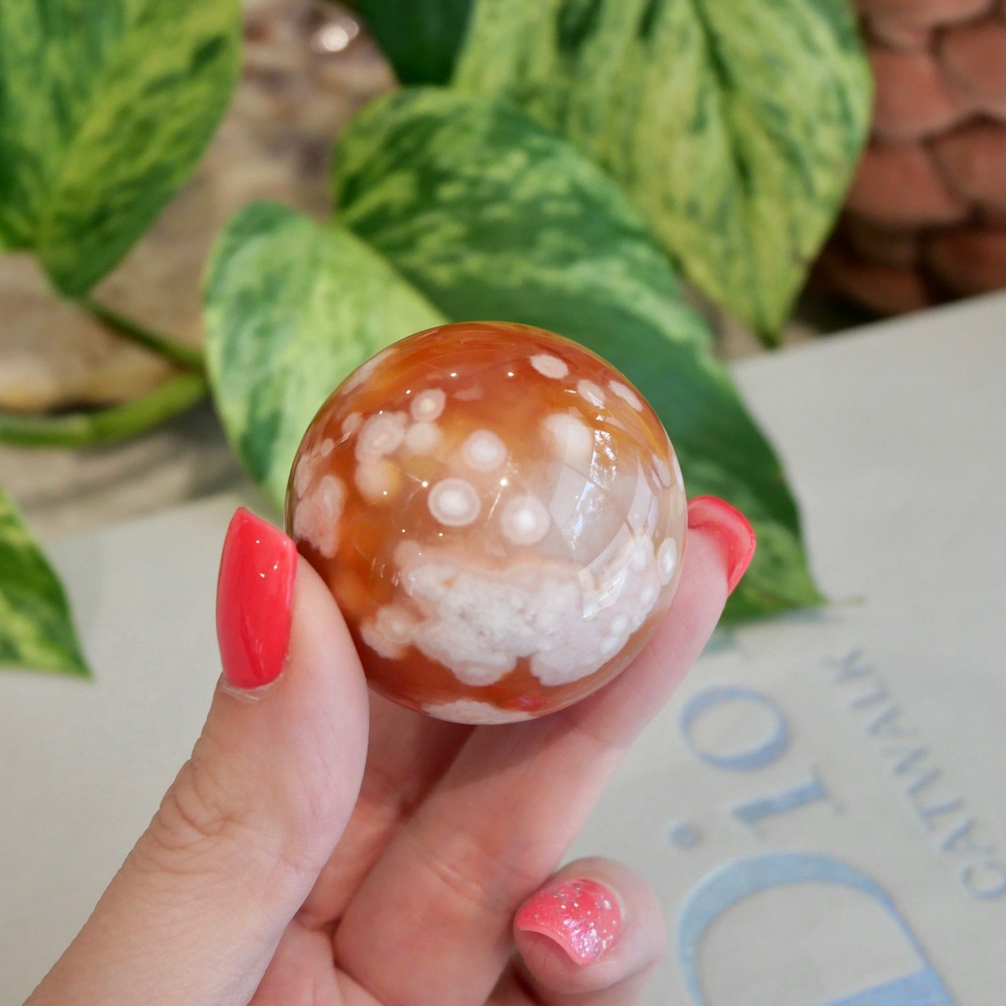 Carnelian with Flower Agate Sphere No 77