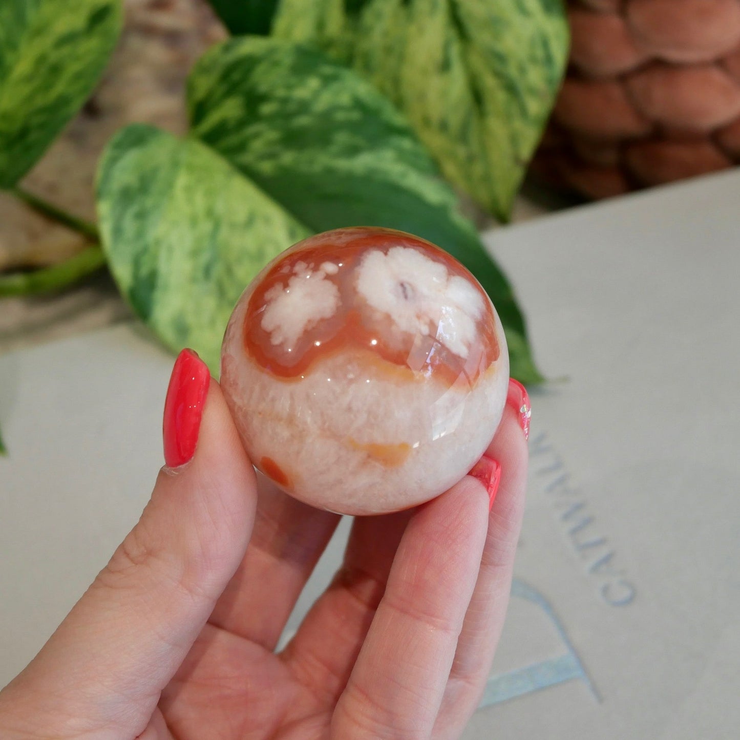 Carnelian with Flower Agate Sphere No 80