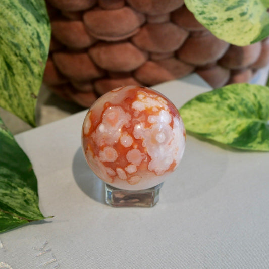 Carnelian with Flower Agate Sphere No 81