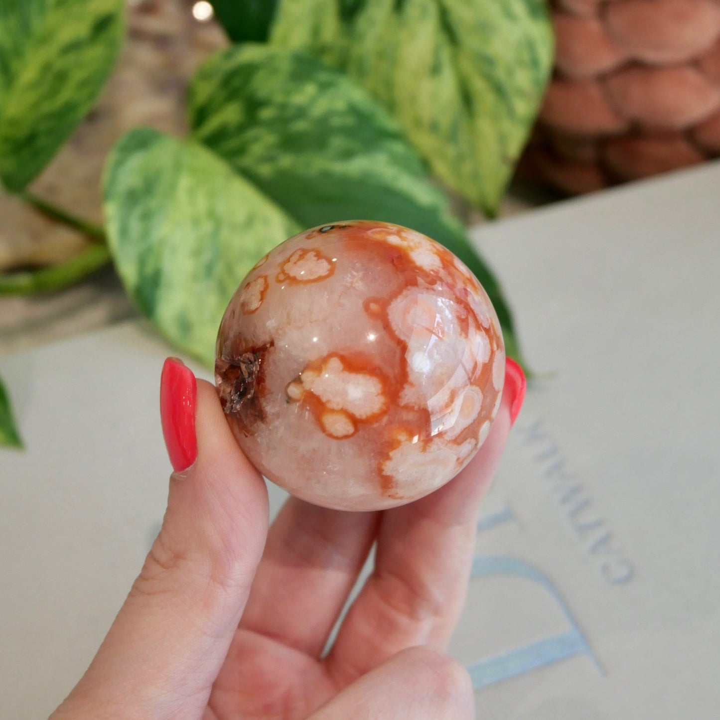 Carnelian with Flower Agate Sphere No 81