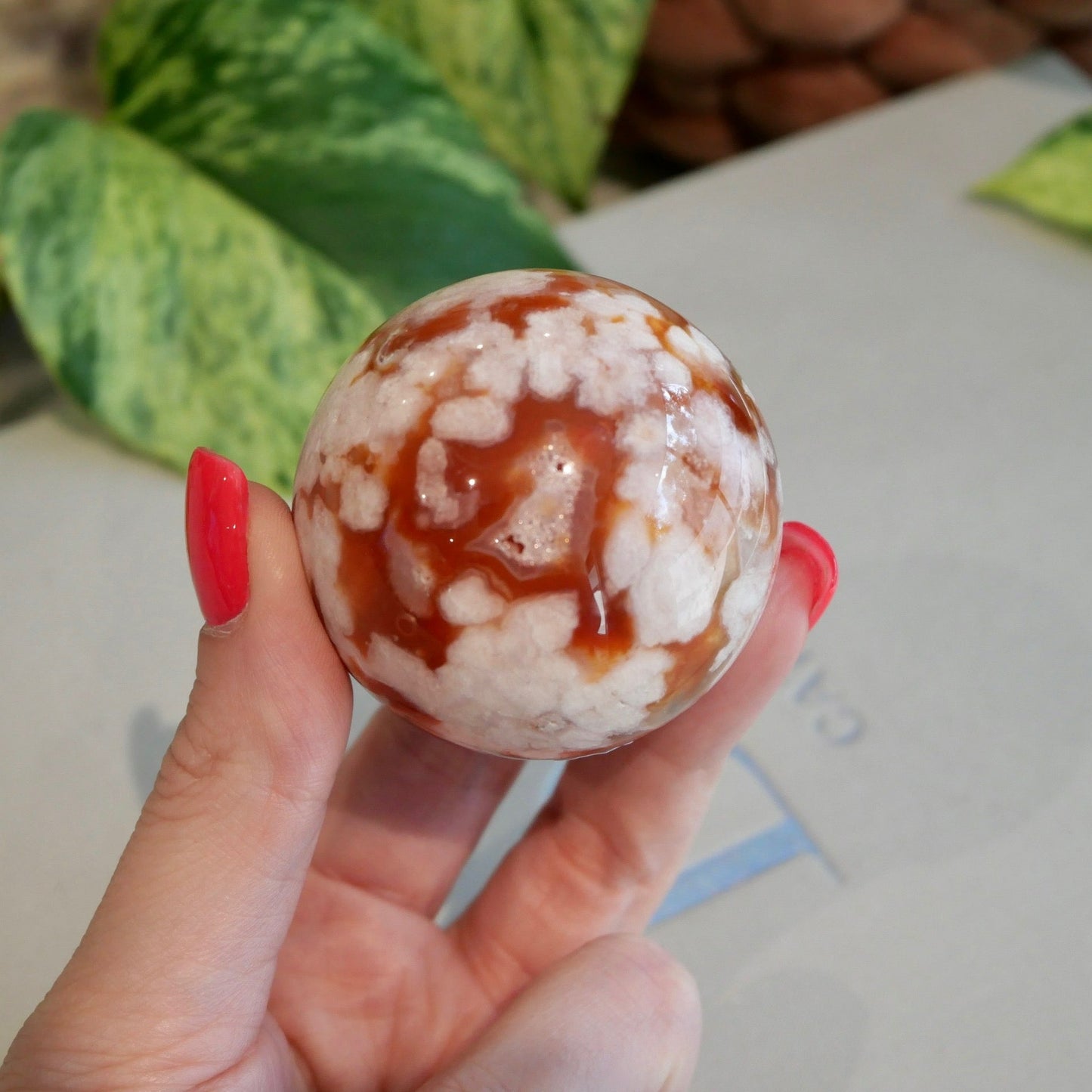 Carnelian with Flower Agate Sphere No 83