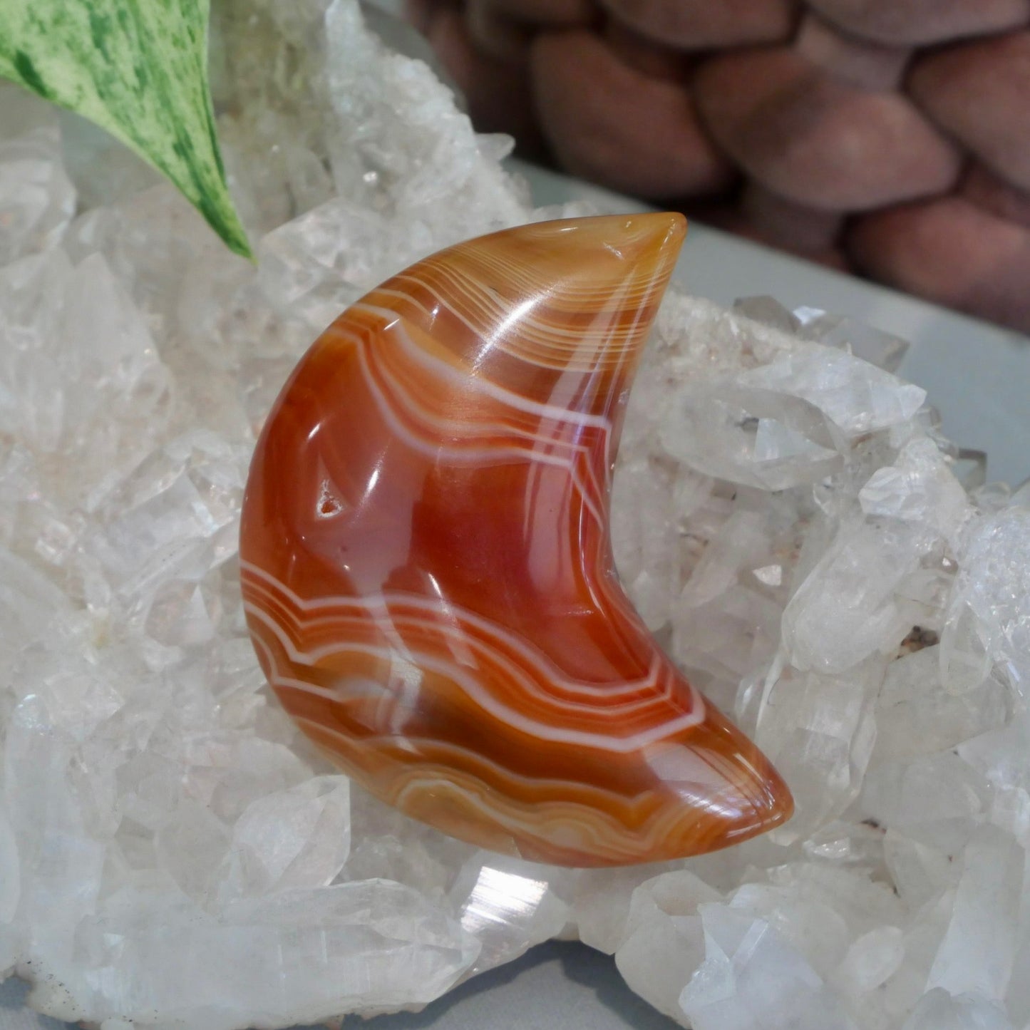 Carnelian Moon No 21