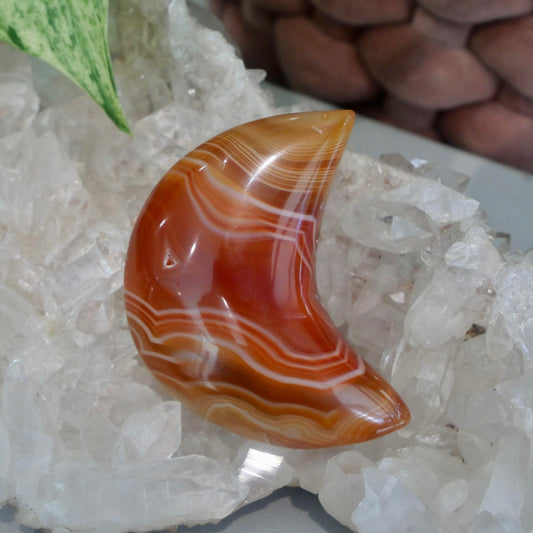 Carnelian Moon No 21