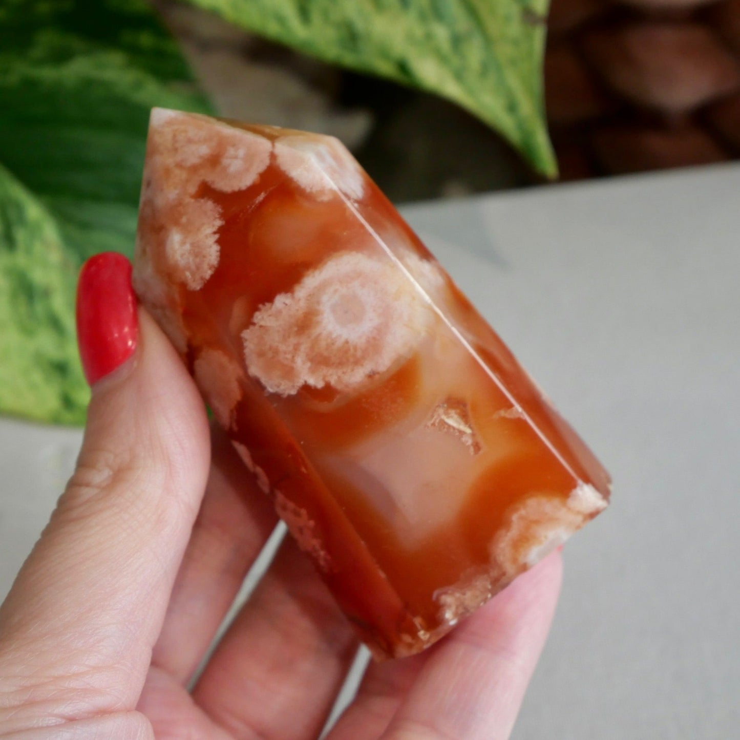 Carnelian with Flower Agate Tower No 91